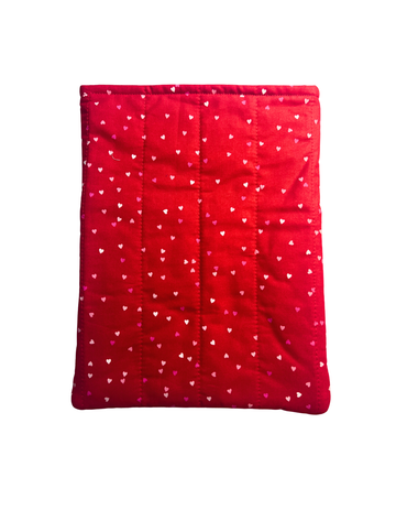 Love's Wonderland Book Sleeve